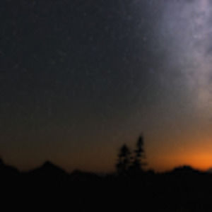 Meet your Posher, Carol